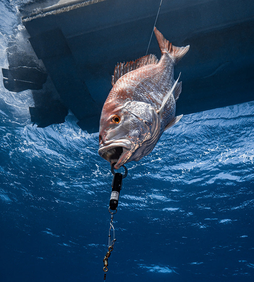 SeaQualizer - Standard - 50'-100'-150'